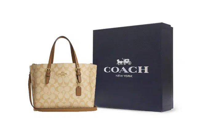 COACH Mollie 25 Tote