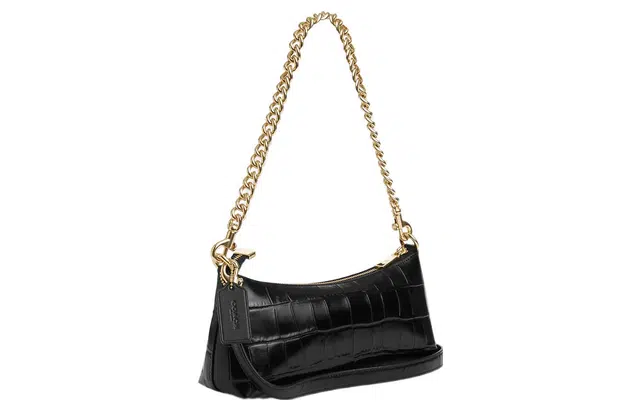 COACH Charlotte 25 Logo