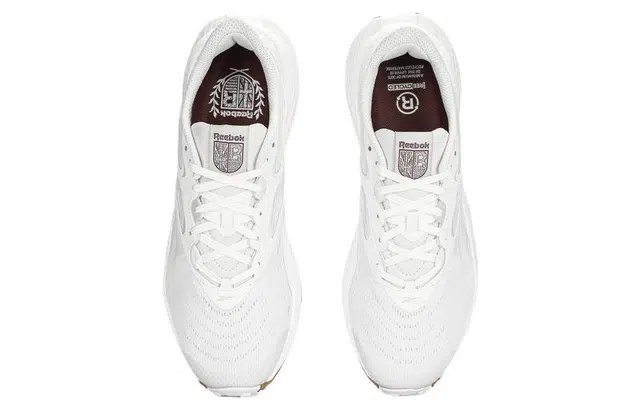 Reebok Floatride Energy 5