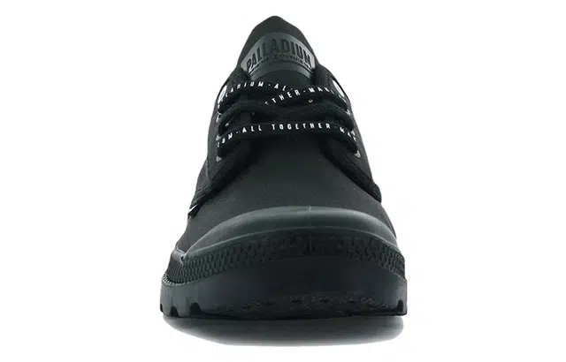 Palladium Pampa OX Future