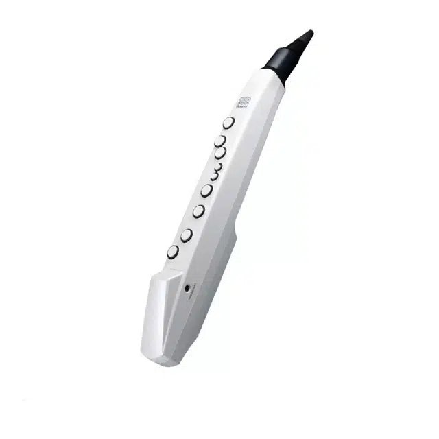 Roland AE01C " Aerophone