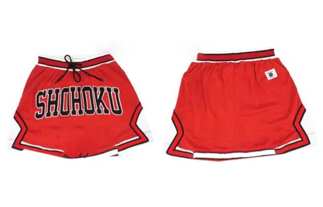 SLAM DUNK IP