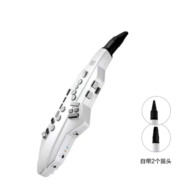 Roland AE05C" Aerophone