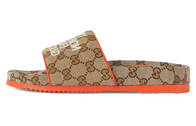 THE NORTH FACE x GUCCI GG