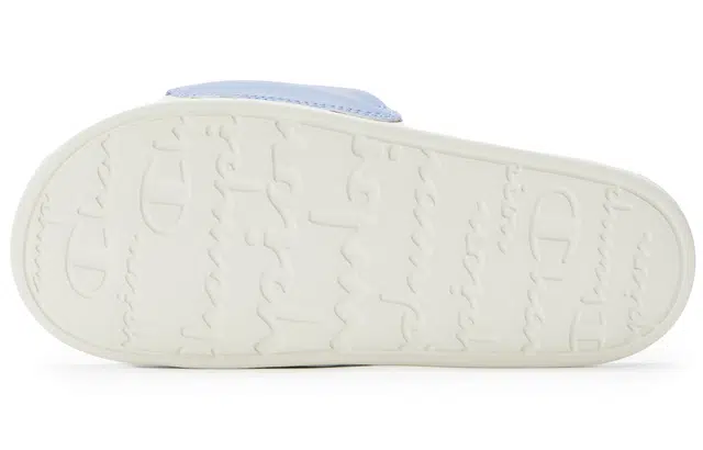 Champion Campus Slide