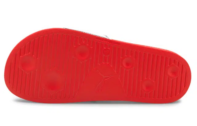 Puma Leadcat