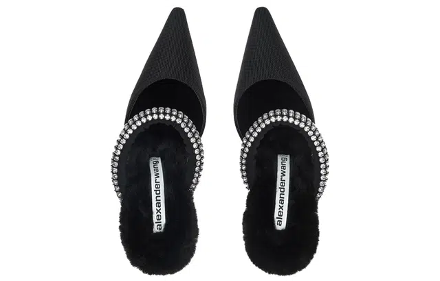 alexander wang grace