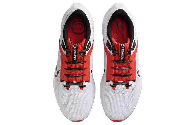 Nike Pegasus 40