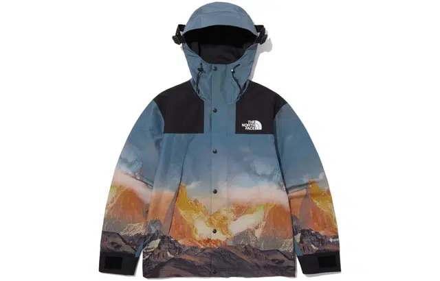 THE NORTH FACE FW23 1990 Gore-tex GTX Mountain Vista Jacket