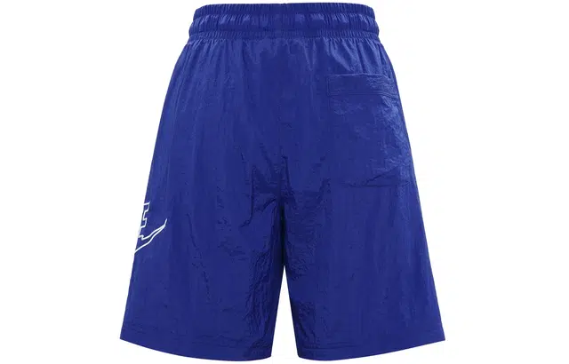 Nike Sportswear Alumni Logo