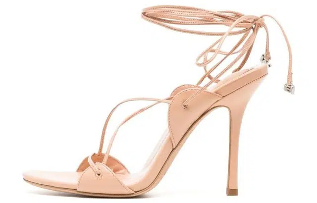 alexander wang Lucienne 10cm
