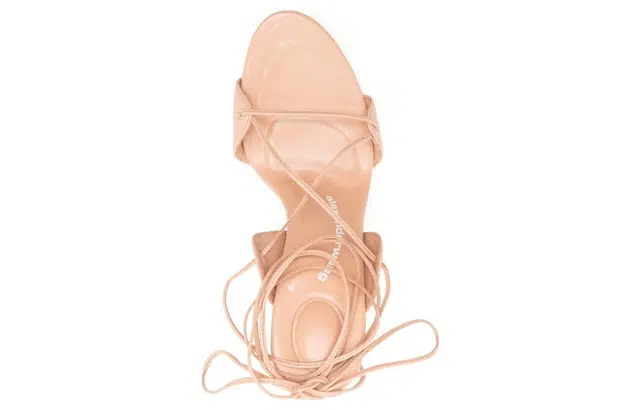 alexander wang Lucienne 10cm