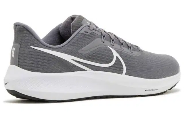 Nike Air Zoom Pegasus 39