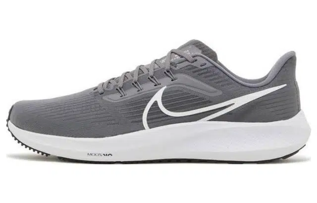 Nike Air Zoom Pegasus 39