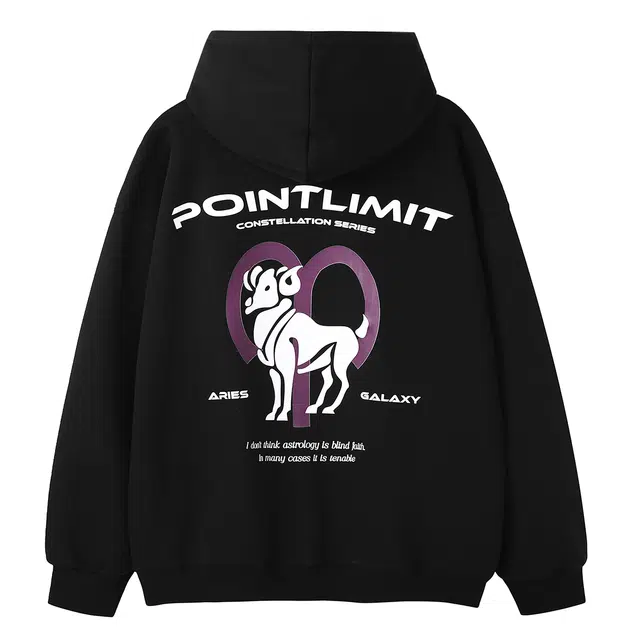 POINTLIMIT Logo