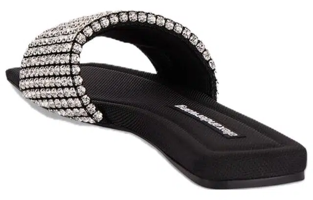 alexander wang