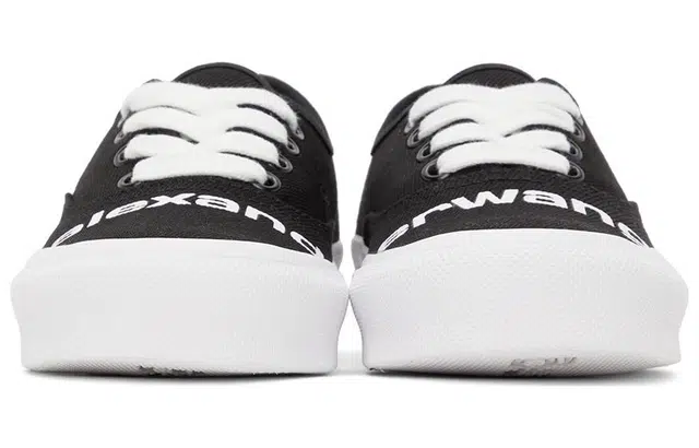 alexander wang Dropout