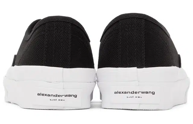 alexander wang Dropout
