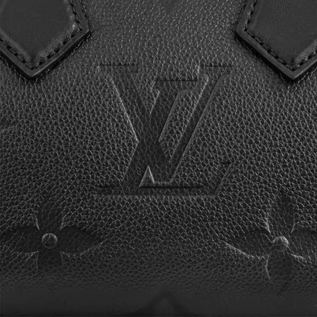 LOUIS VUITTON Speedy 20