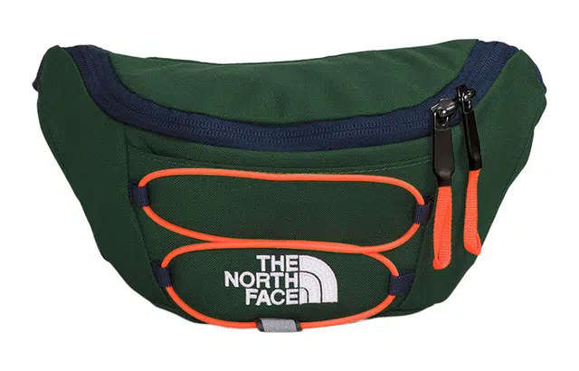THE NORTH FACE Logo
