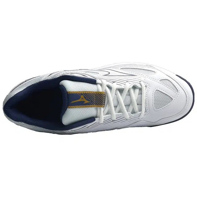 Mizuno