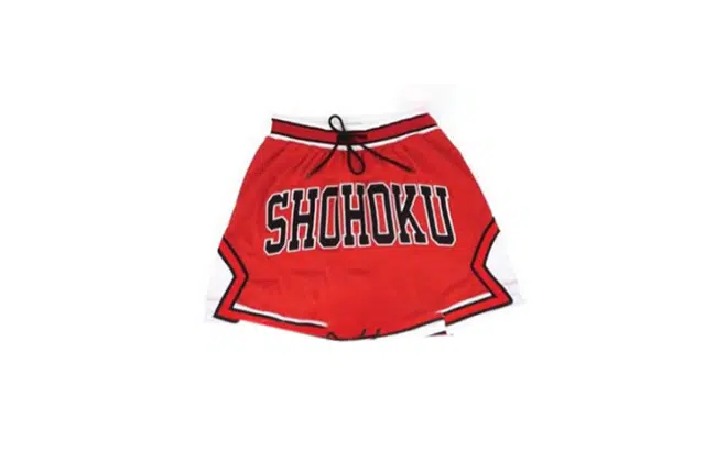 SLAM DUNK IP