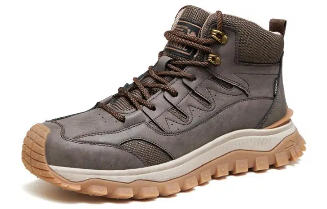x CAMEL