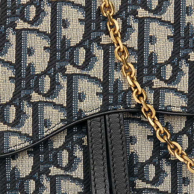 DIOR DOblique