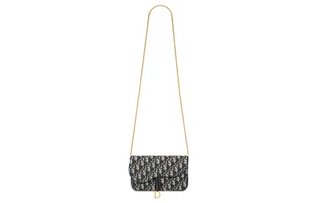 DIOR DOblique