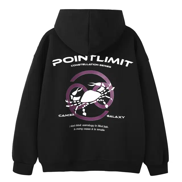 POINTLIMIT Logo