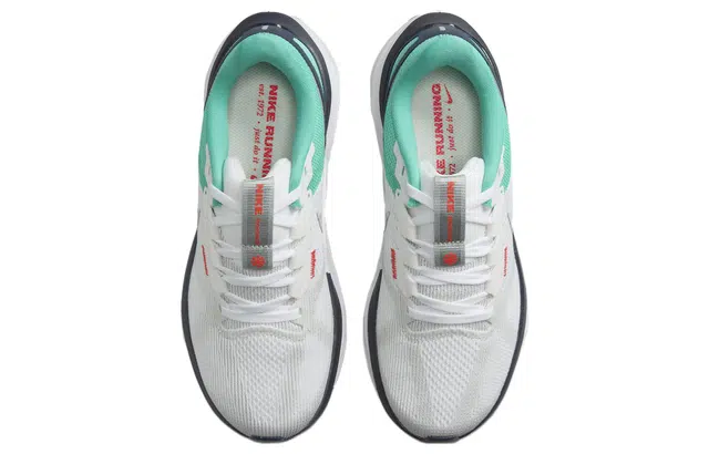 Nike Zoom Structure 25