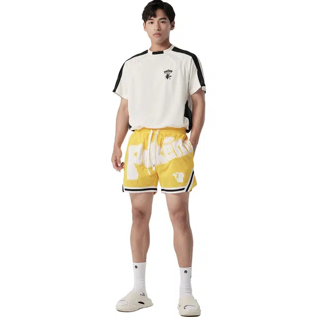 VEIDOORN x POKEMON