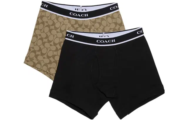 COACH Logo 2