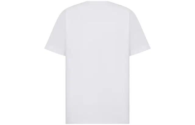 DIOR T