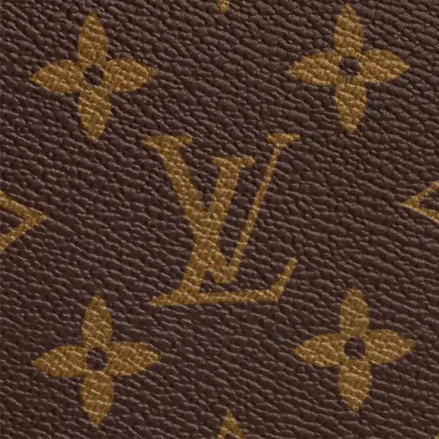 LOUIS VUITTON Zippy Organizer