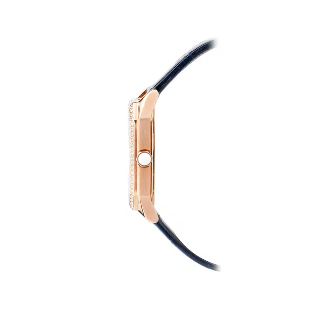 EMPORIO ARMANI 24mm AR11466