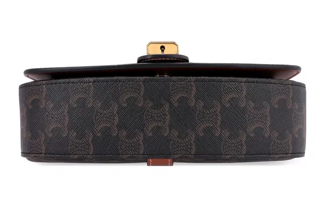 CELINE Triomphe Canvas