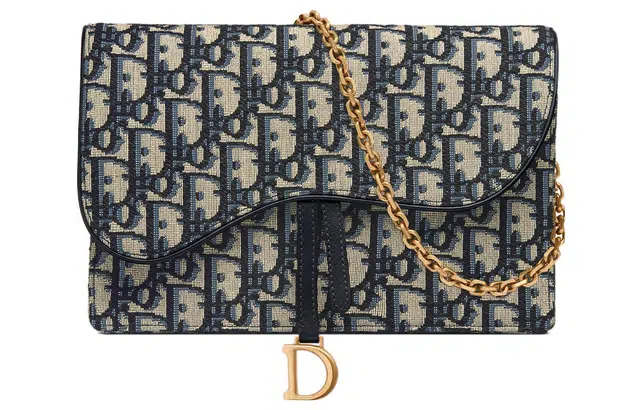 DIOR Saddle Oblique