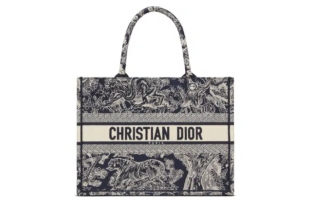 Dior Book Tote Blue