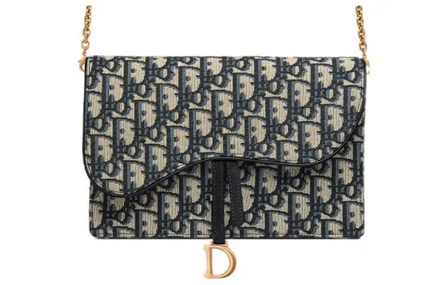 DIOR Saddle Oblique
