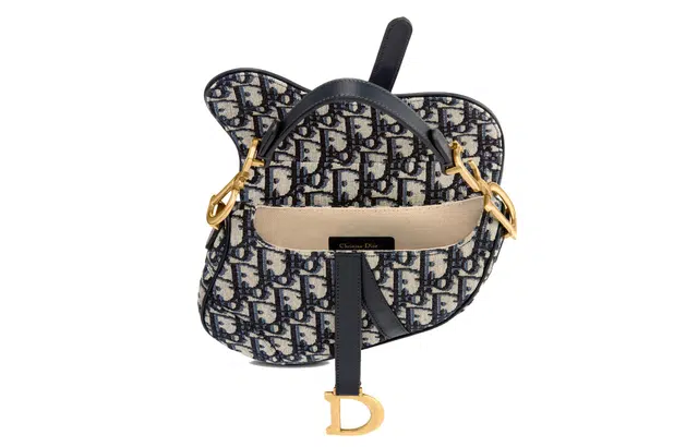 DIOR Saddle Oblique