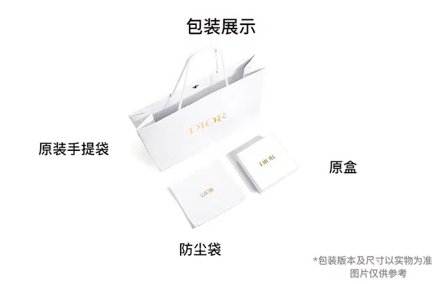 DIOR CD Signature Oblique