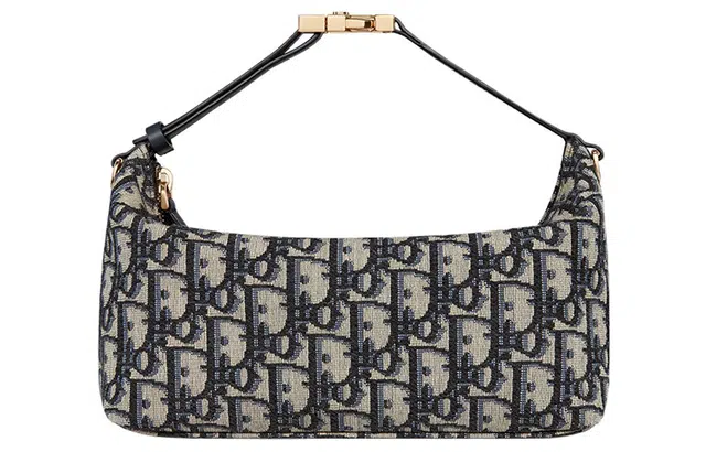 DIOR DiorTravel Nomad Oblique