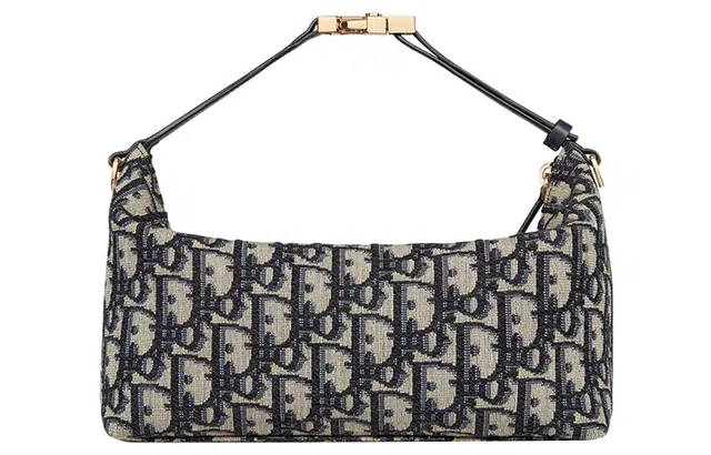 DIOR DiorTravel Nomad Oblique