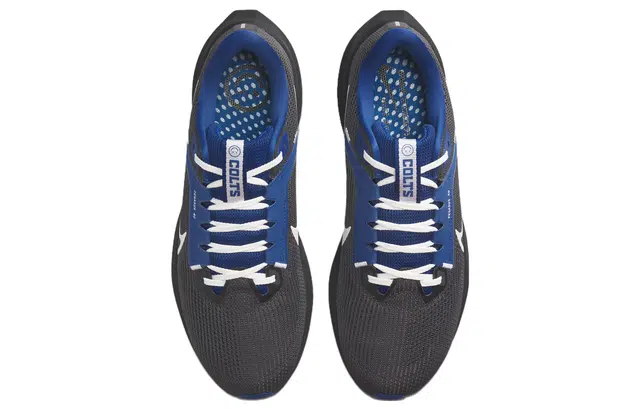 Nike Air Zoom Pegasus 40