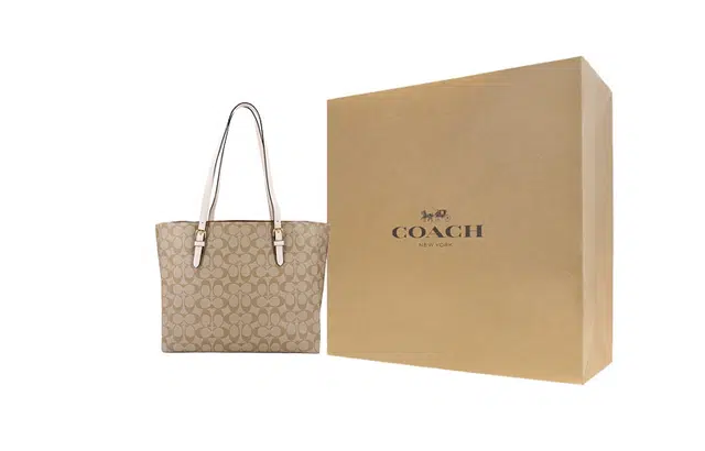 COACH Mollie 34 Tote
