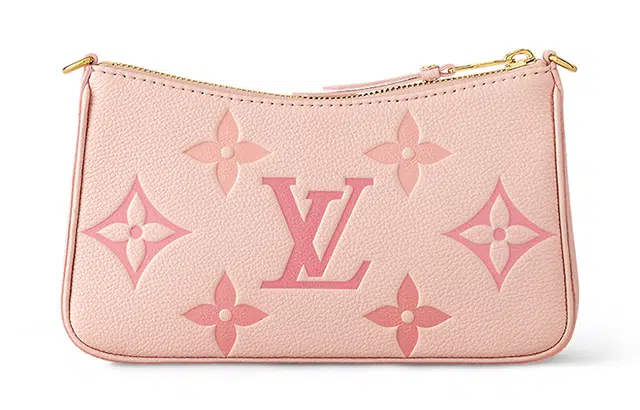 LOUIS VUITTON Easy pouch