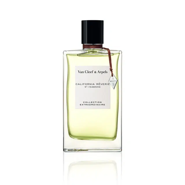 EDP45ml