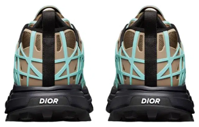 DIOR B31