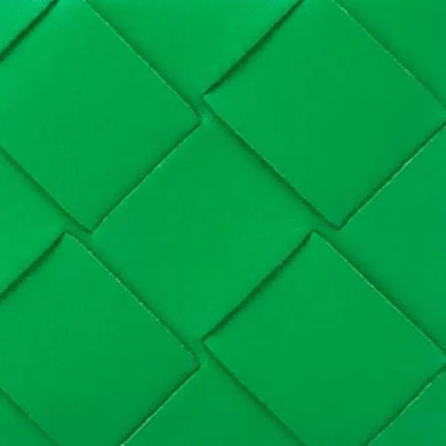 Bottega Veneta Intreccio